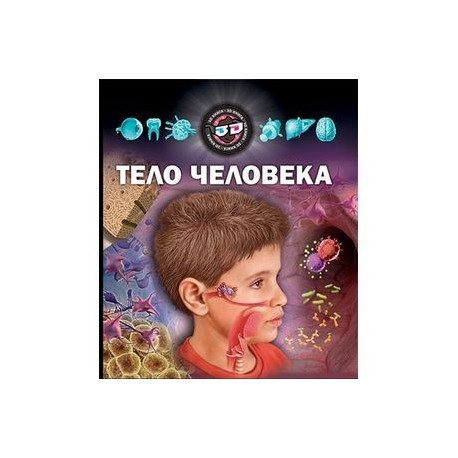 Тело человека.