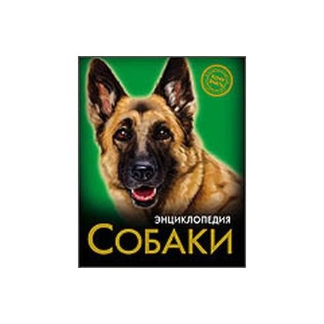 Собаки