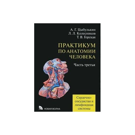 Практикум по анатомии человека. В 4 частях. Часть 3. Сердечно-сосудистая и лимфоидная системы