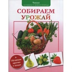 Собираем урожай (+обучающие карточки и загадки)