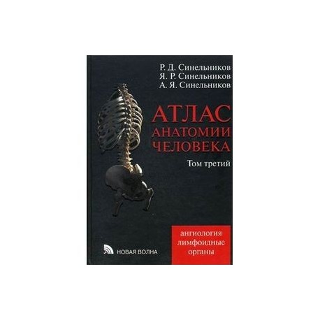 Анатомия синельникова 1 том. Синельников атлас 4 том. Атлас анатомии человека Синельников том 4. Синельников атлас анатомии человека 3 том.