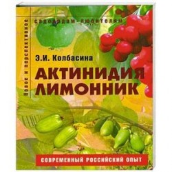 Актинидия, лимонник