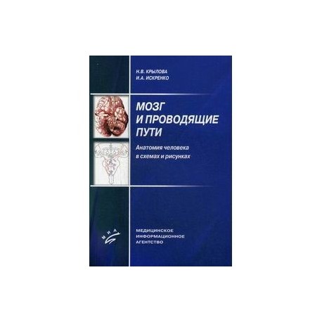 Мозг и проводящие пути. Анатомия человека в схемах и рисунках. Учебное пособие. Гриф УМО по медицинскому образованию