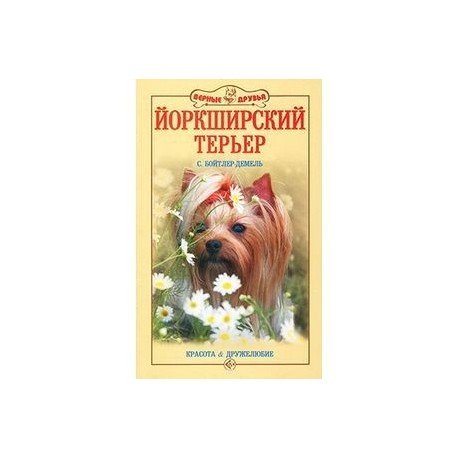 Йоркширский терьер. Красота и дружелюбие