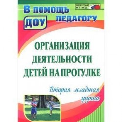 Организация деятельности детей на прогулке. Вторая младшая группа