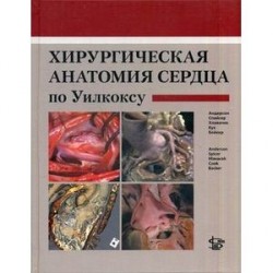 Хирургическая анатомия сердца по Уилкоксу