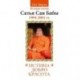 Истина, добро, красота. История жизни Сатья Саи Бабы. (1994-2001)