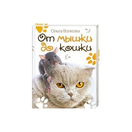 От мышки до кошки