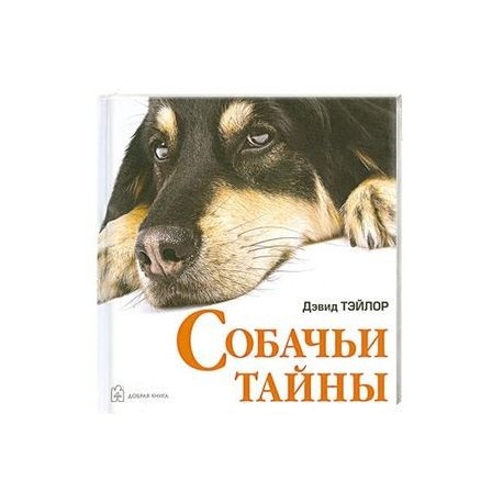 Собачьи тайны