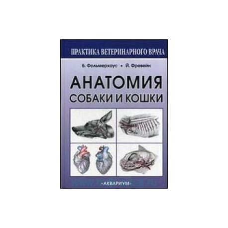 Анатомия собак и кошек. Анатомия собаки и кошки фольмерхаус. Анатомия кошек и собак книга. Анатомия собак и кошек учебник. Анатомия собак книга.