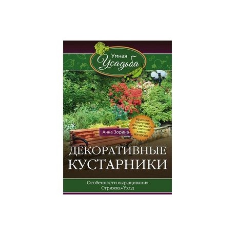 Декоративные кустарники