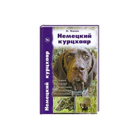 Немецкий курцхаар. История. Стандарт. Содержание. Разведение. Испытания