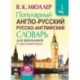 Популярный англо-русский русско-английский словарь для школьников с приложениями