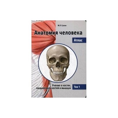 Анатомия атлас том 1. Атлас анатомии человека Сапин 1 том. Анатомия человека Сапин учение о костях. Сапин атлас анатомии 3 том. Сапин анатомия человека в 3 томах, том 1.