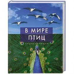 В мире птиц