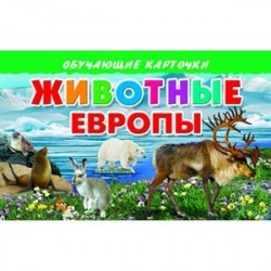 Карточки. Животные Европы