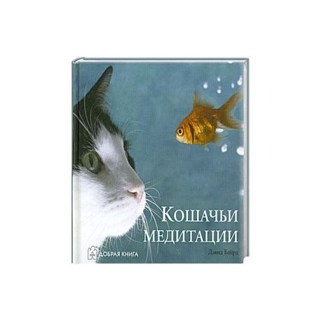 Кошачьи медитации