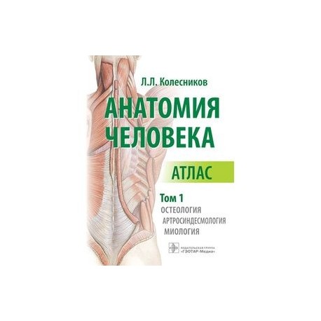 Анатомия атлас том 1. Колесников анатомия человека атлас 1 том. Атлас анатомии человека Колесников. Атлас по анатомии человека Колесников. Анатомия человека. В 3-Х томах. Том 1. Остеология, артросиндесмологи.