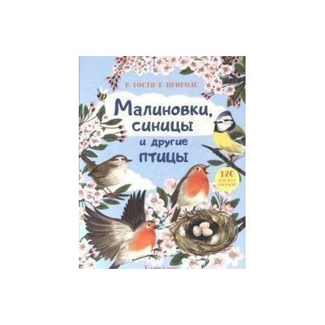 В гости к природе. Малиновки, синицы и другие птицы