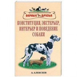 Конституция, экстерьер, интерьер и поведение собаки