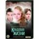 Кладовая жизни. (8 серий). DVD