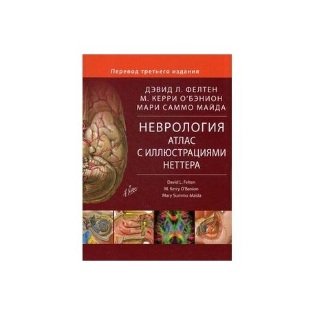 Неврология атлас раскраска с рисунками неттера