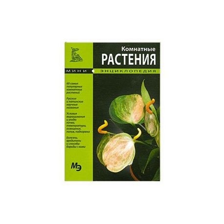 Комнатные растения