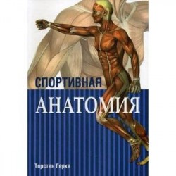 Спортивная анатомия