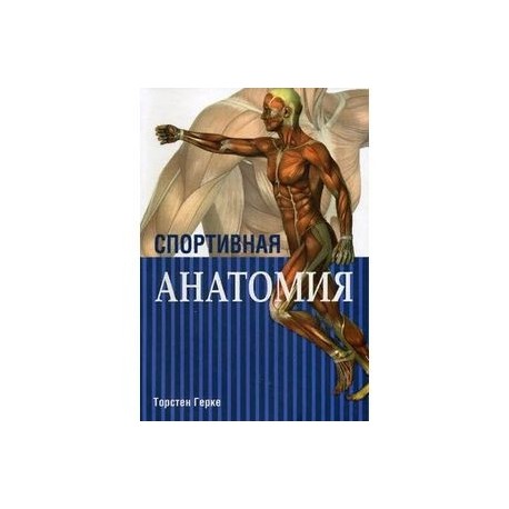 Спортивная анатомия