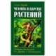 Человек в царстве растений. Растения-талисманы для здоровья и благополучия