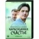 Нарисованное счастье. (4 серии). DVD