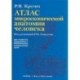 Атлас микроскопической анатомии человека. Учебное пособие