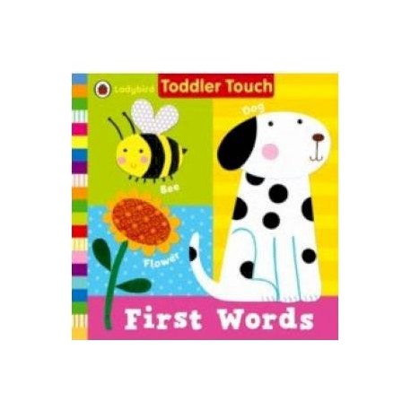 First Words   (board book)