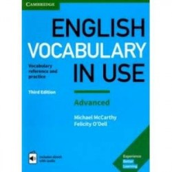 English Vocabulary in Use: Advanced