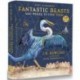 Fantastic Beasts and Where to Find Them