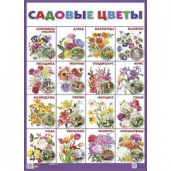 Плакат 'Садовые цветы'