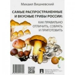 Самые распространенные и вкусные грибы России. Как правильно отличить, собрать и приготовить