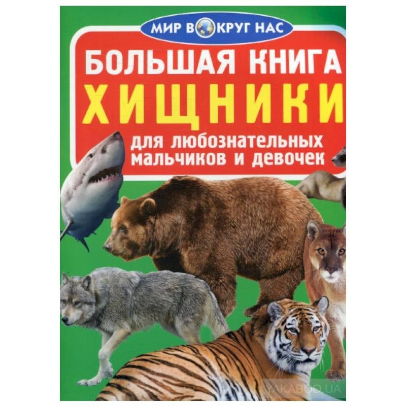 Биология для любознательных 5 класс. Большая книга. Хищники. Большая книга. Дикие кошки. Для любознательных мальчиков и девочек. Большая книга для любознательных мальчиков и девочек животные. Животные хищники книга.