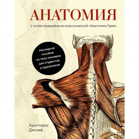 Анатомия:с иллюстрациями из классической 'Анатомии Грея'