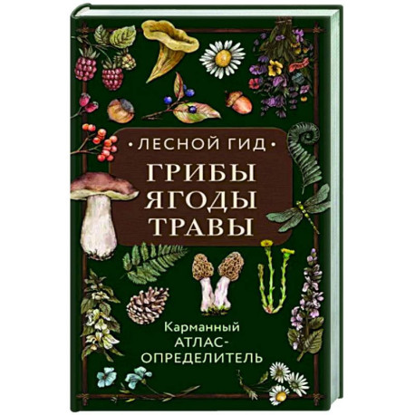 Лесной гид: грибы, ягоды, травы. Карманный атлас-определитель