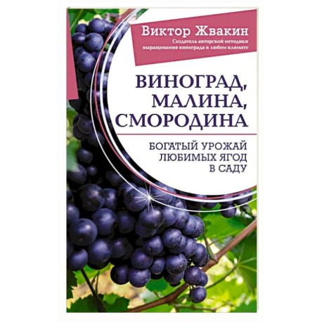 Виноград, малина, смородина. Богатый урожай любимых ягод в саду