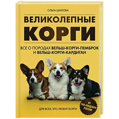 Великолепные корги. Все о породах вельш-корги-пемброк и вельш-корги-кардиган