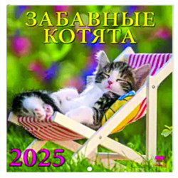 Календарь настенный на 2025 год Забавные котята