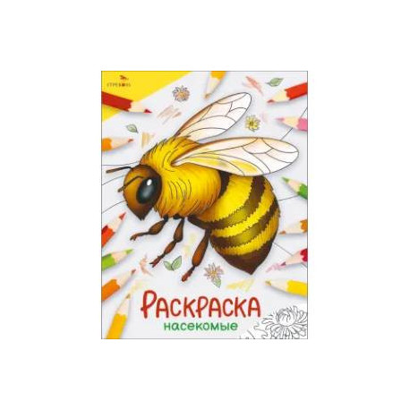 Насекомые: раскраска