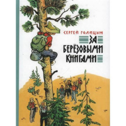 За березовыми книгами