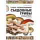 Самые распространенные съедобные грибы: справочник-определитель начинающего грибника