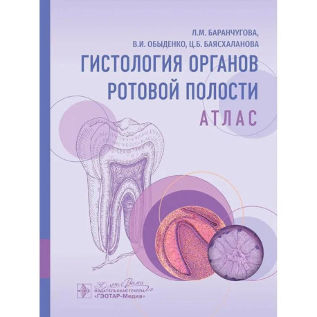 Гистология органов ротовой полости. Атлас