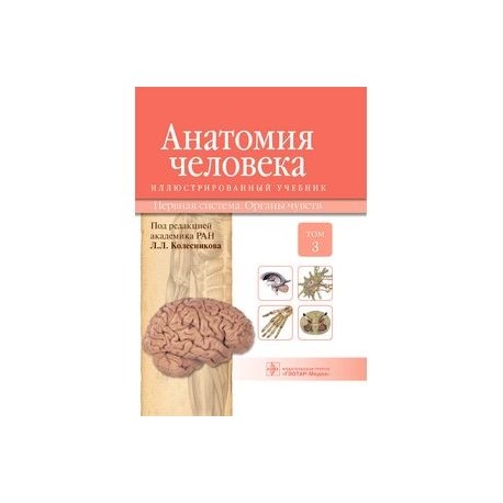 Анатомия человека. Учебник в 3-х томах. Том 3. Нервная система. Органы чувств