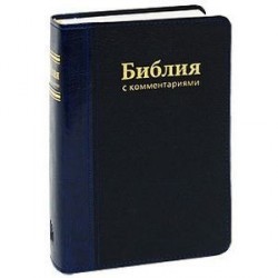 Библия. Книги Священного Писания Ветхого и Нового Завета. В Синодальном переводе с комментариями