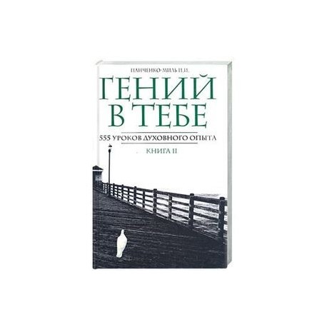 Гений в тебе. 555 уроков духовного опыта. Книга 2